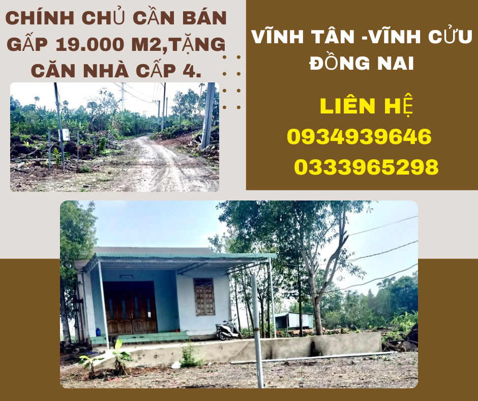 https://batdongsanviet.info.vn/chinh-chu-can-ban-gap-19-000-m2-tang-can-nha-cap-4-j178899.html