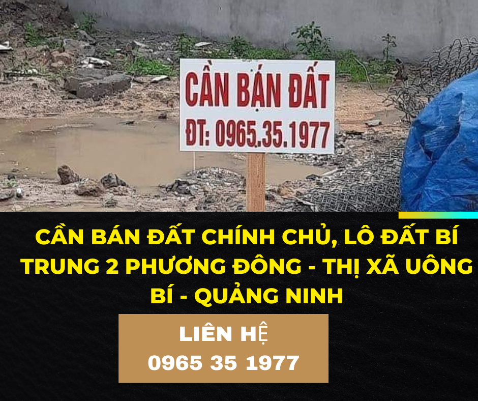 https://batdongsanviet.info.vn/can-ban-dat-chinh-chu-lo-dat-bi-trung-2-phuong-dong-j179393.html