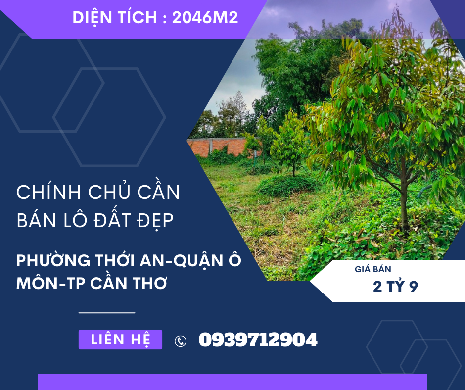 https://batdongsanviet.info.vn/chinh-chu-can-ban-nha-thuoc-xa-dang-cuong-huyen-an-duong-hp-j188238.html