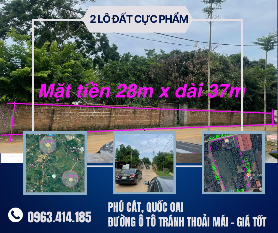 https://batdongsanviet.info.vn/chinh-chu-ban-2-lo-dat-cuc-pham-tai-phu-cat-quoc-oai-duong-o-to-tranh-thoai-mai-gia-tot-j194016.html