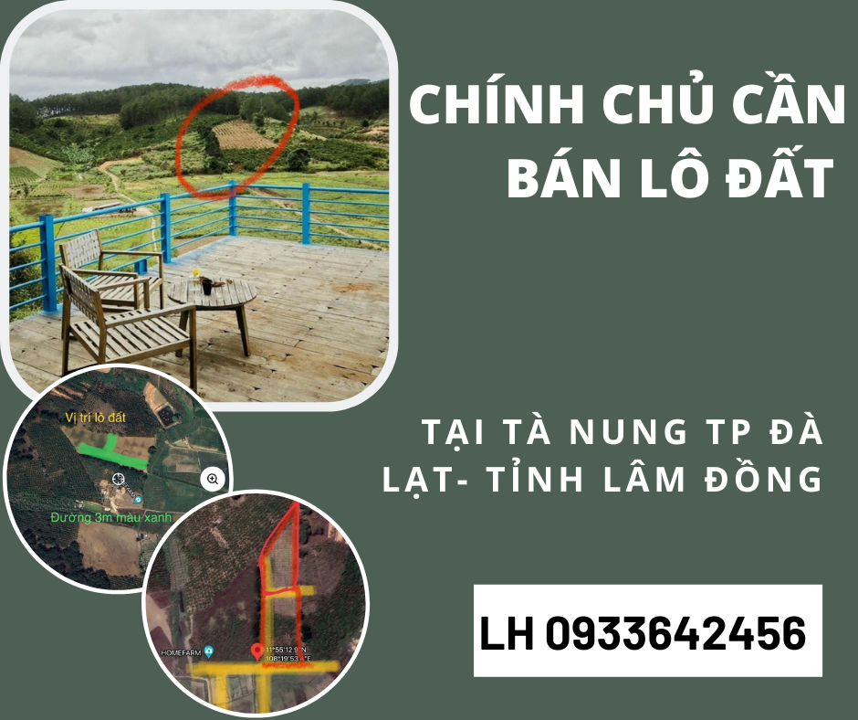 https://batdongsanviet.info.vn/chinh-chu-can-ban-lo-dat-tai-ta-nung-tp-da-lat-tinh-lam-dong-j180059.html
