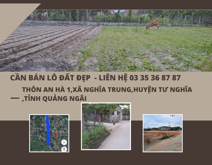https://batdongsanviet.info.vn/can-ban-lo-dat-dep-tai-quang-ngaigjgjghgh.html