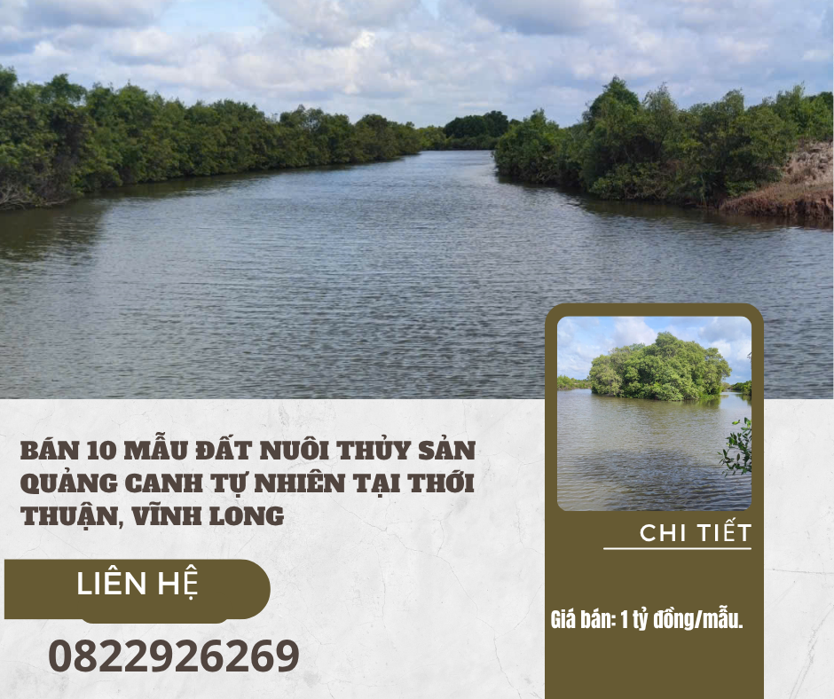https://batdongsanviet.info.vn/ban-10-mau-dat-nuoi-thuy-san-quang-canh-tu-nhien-tai-thoi-thuan-vinh-long-ben-tre-cu-j201260.html