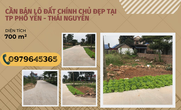 https://batdongsanviet.info.vn/can-ban-lo-dat-chinh-chu-dep-tai-tp-pho-yen-thai-nguyen-j177285.html