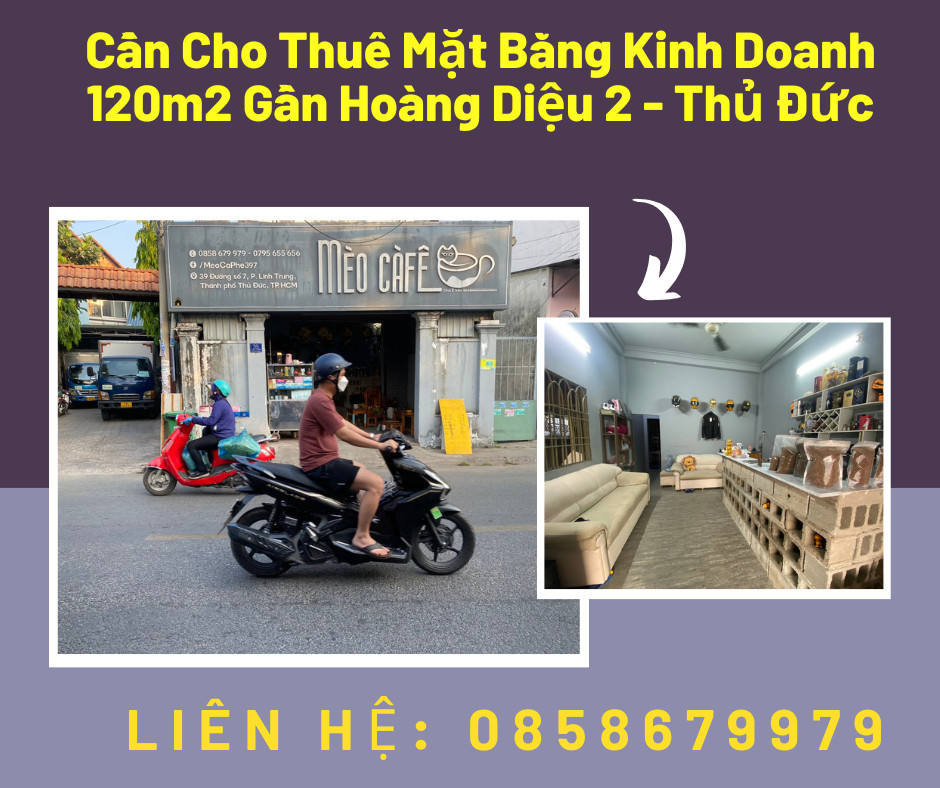 https://batdongsanviet.info.vn/cho-thue-can-ho-trung-tam-quan-1-gia-re-j178570.html