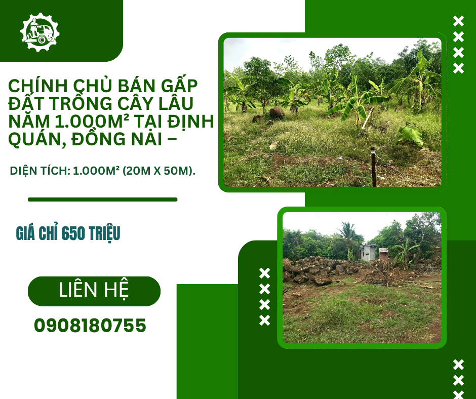 https://batdongsanviet.info.vn/chinh-chu-ban-gap-dat-trong-cay-lau-nam-1-000m-tai-dinh-quan-dong-nai-gia-chi-650-trieu-j200738.html