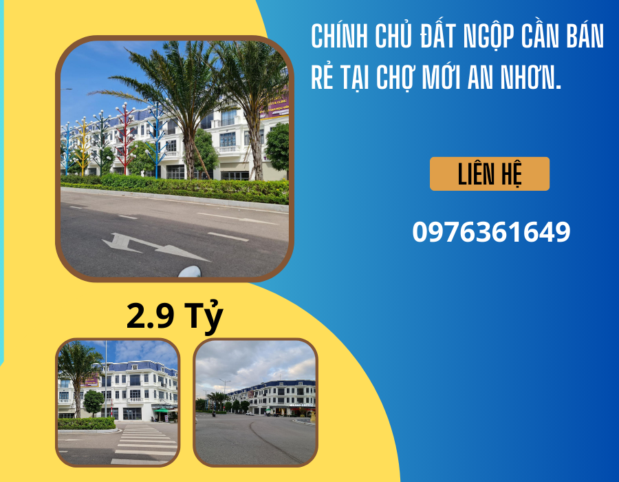 https://batdongsanviet.info.vn/chinh-chu-dat-ngop-can-ban-re-tai-cho-moi-an-nhon-j183865.html