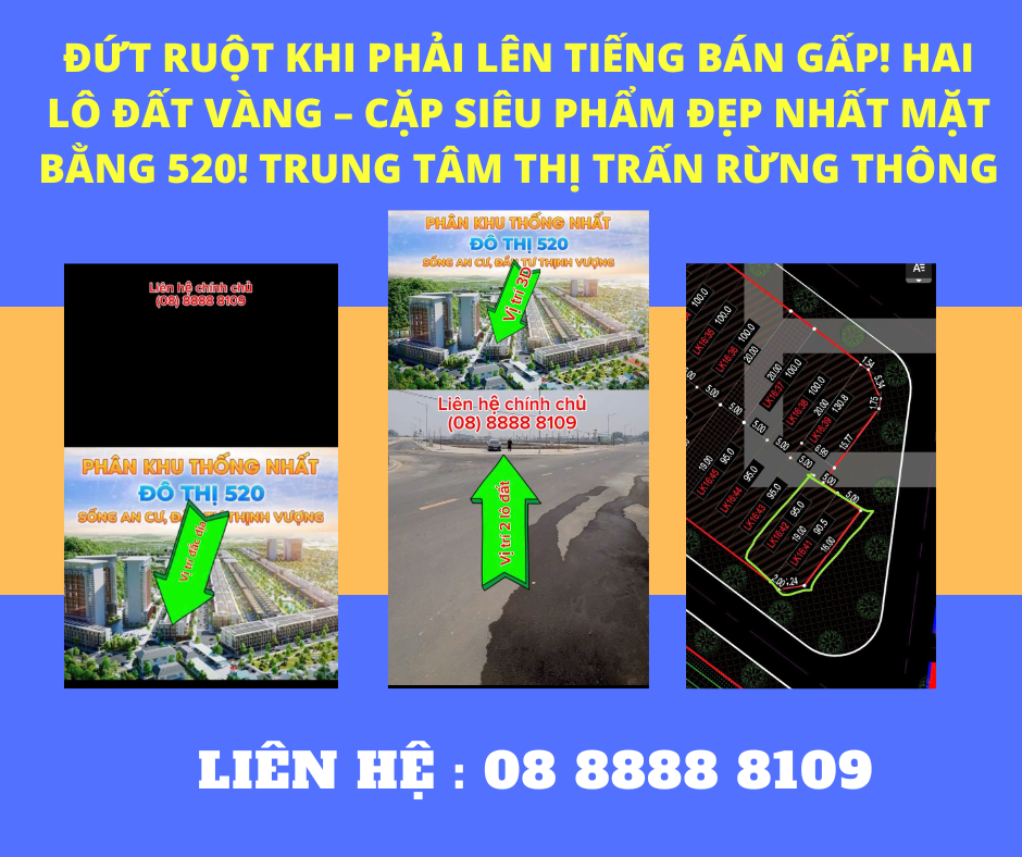 https://batdongsanviet.info.vn/dut-ruot-khi-phai-len-tieng-ban-gap-hai-lo-dat-vang-cap-sieu-pham-dep-nhat-mat-bang-520-trung-tam-thi-tran-rung-thong-j190977.html