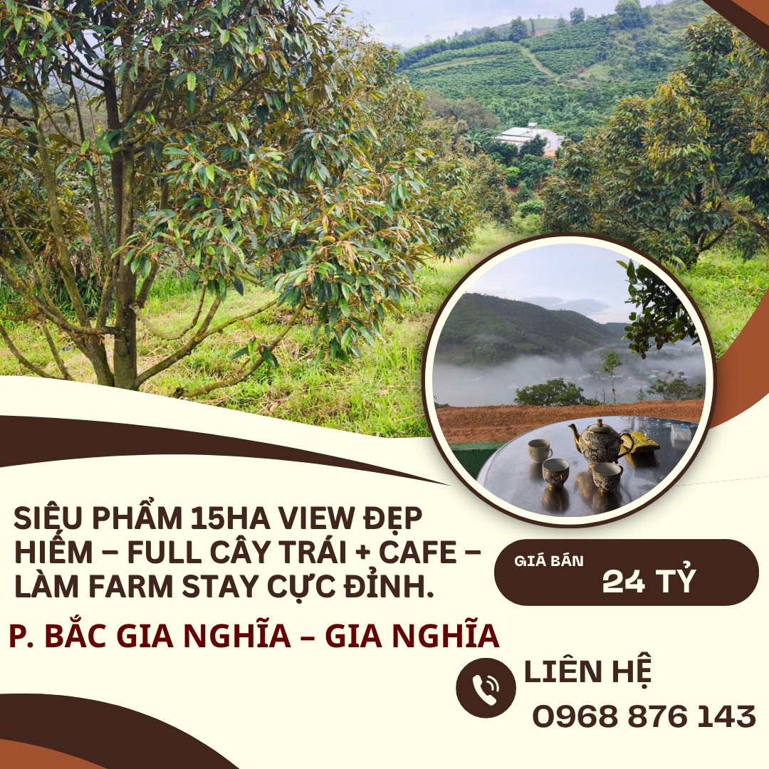 https://batdongsanviet.info.vn/sieu-pham-15ha-view-dep-hiem-full-cay-trai-cafe-lam-farm-stay-cuc-dinh-j198594.html