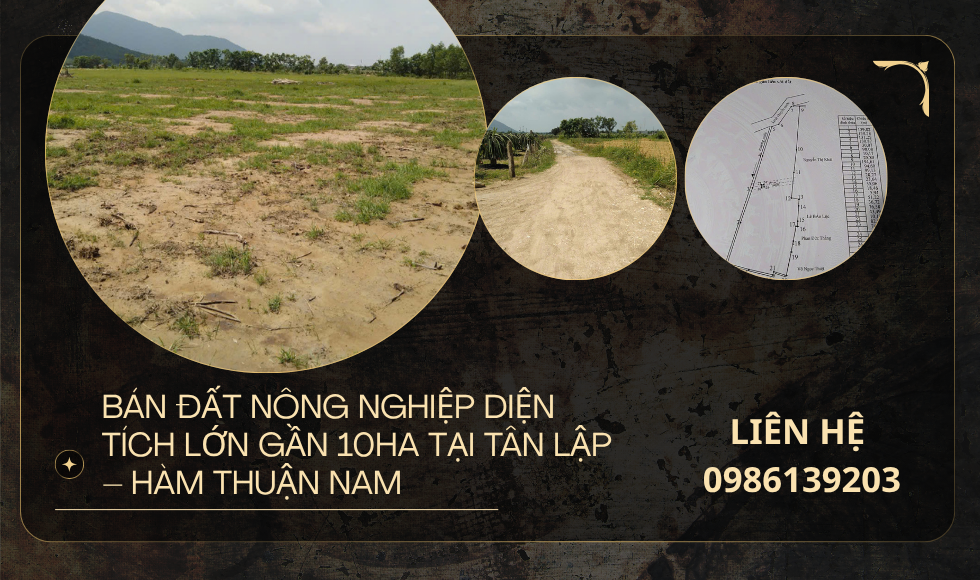 https://batdongsanviet.info.vn/ban-dat-nong-nghiep-dien-tich-lon-gan-10ha-tai-tan-lap-ham-thuan-nam-j198534.html