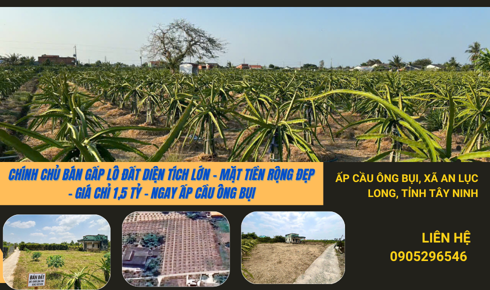 https://batdongsanviet.info.vn/chinh-chu-ban-gap-lo-dat-dien-tich-lon-mat-tien-rong-dep-gia-chi-1-5-ty-ngay-ap-cau-ong-bui-j199139.html
