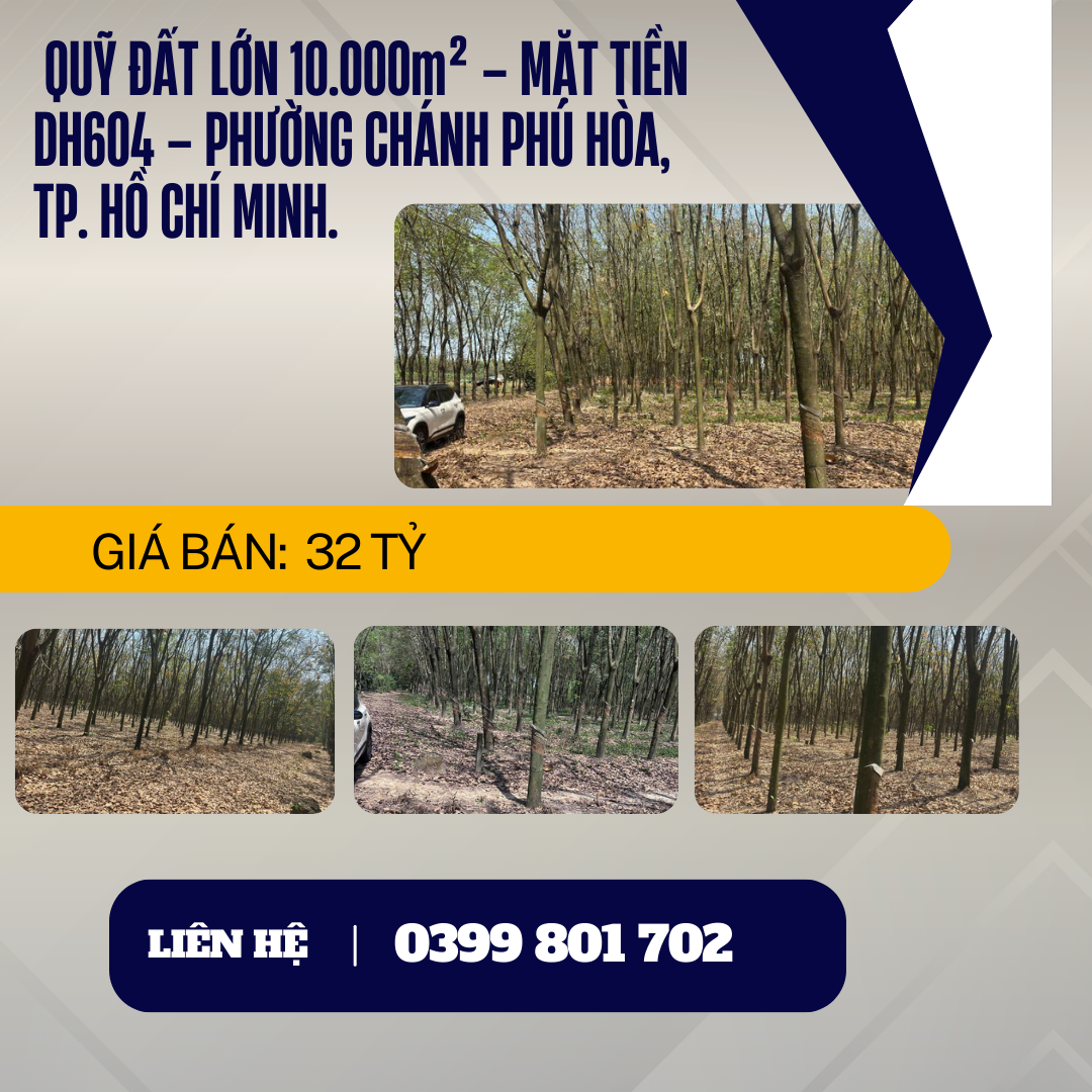https://batdongsanviet.info.vn/quy-dat-lon-10-000m-mat-tien-dh604-phuong-chanh-phu-hoa-tp-ho-chi-minh-j197560.html