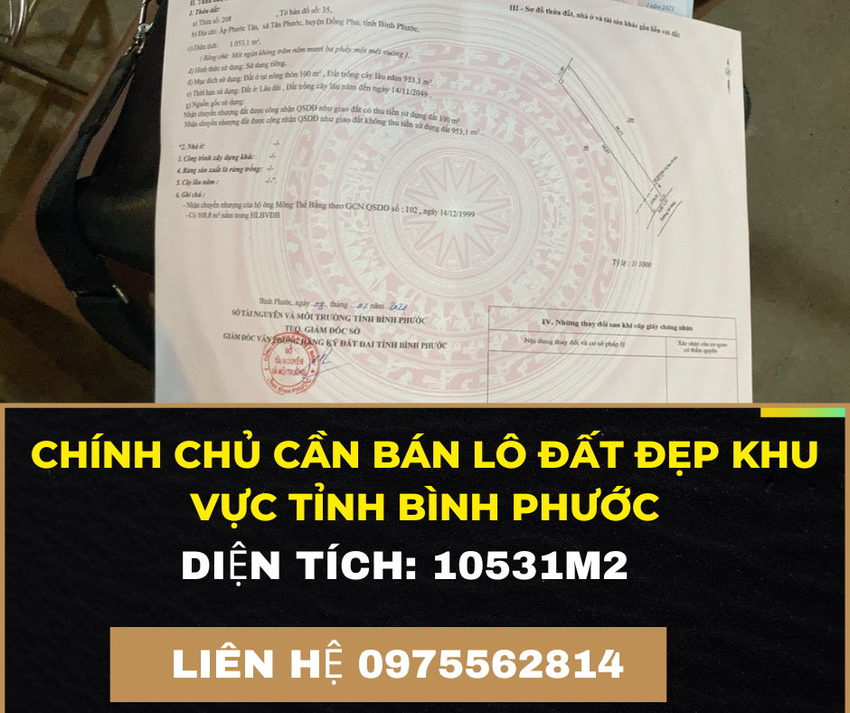 https://batdongsanviet.info.vn/chinh-chu-can-ban-lo-dat-dep-khu-vuc-tinh-binh-phuoc-j174492.html