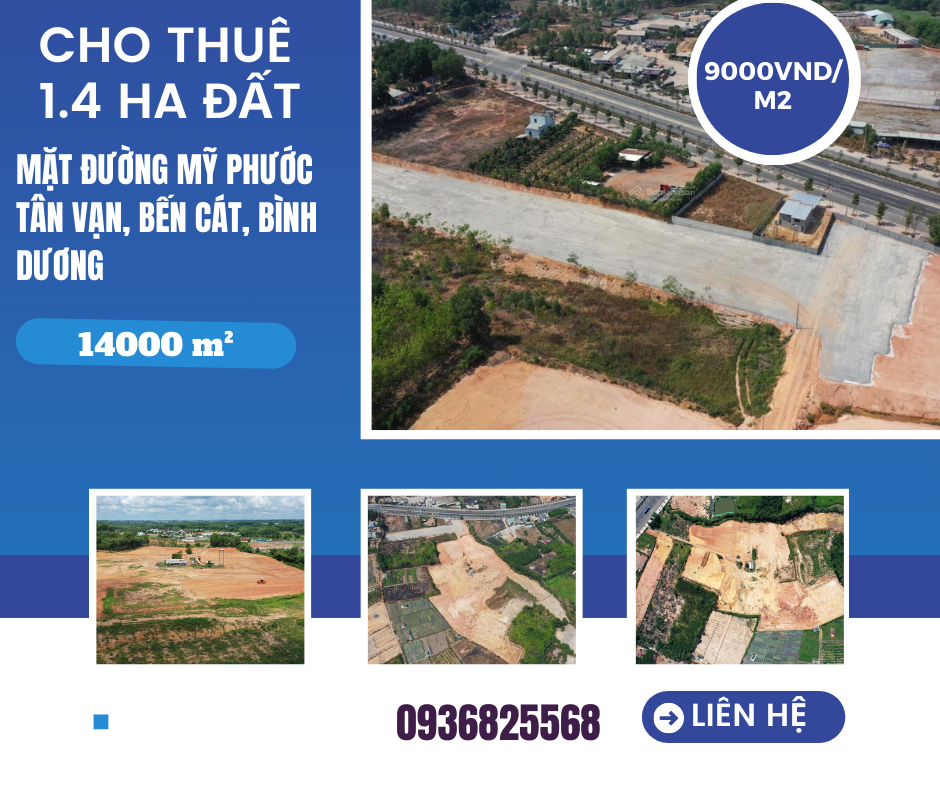 https://batdongsanviet.info.vn/cho-thue-1-4-ha-dat-mat-duong-my-phuoc-tan-van-ben-cat-binh-duong-j191053.html