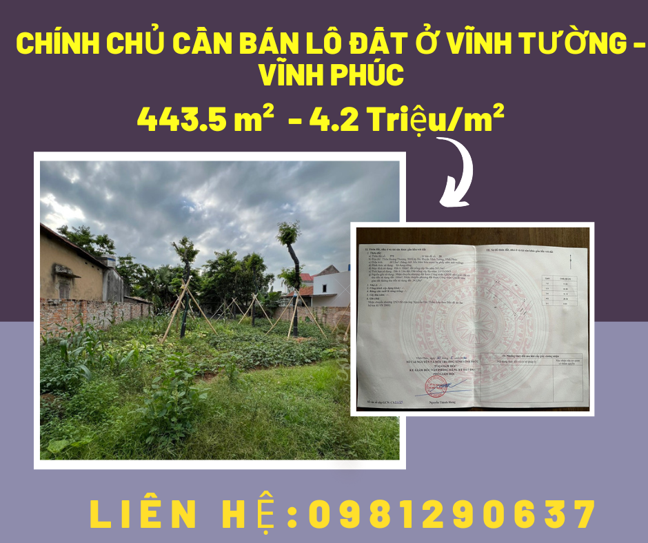 https://batdongsanviet.info.vn/chinh-chu-can-ban-lo-dat-o-vinh-tuong-vinh-phuc-j164982.html