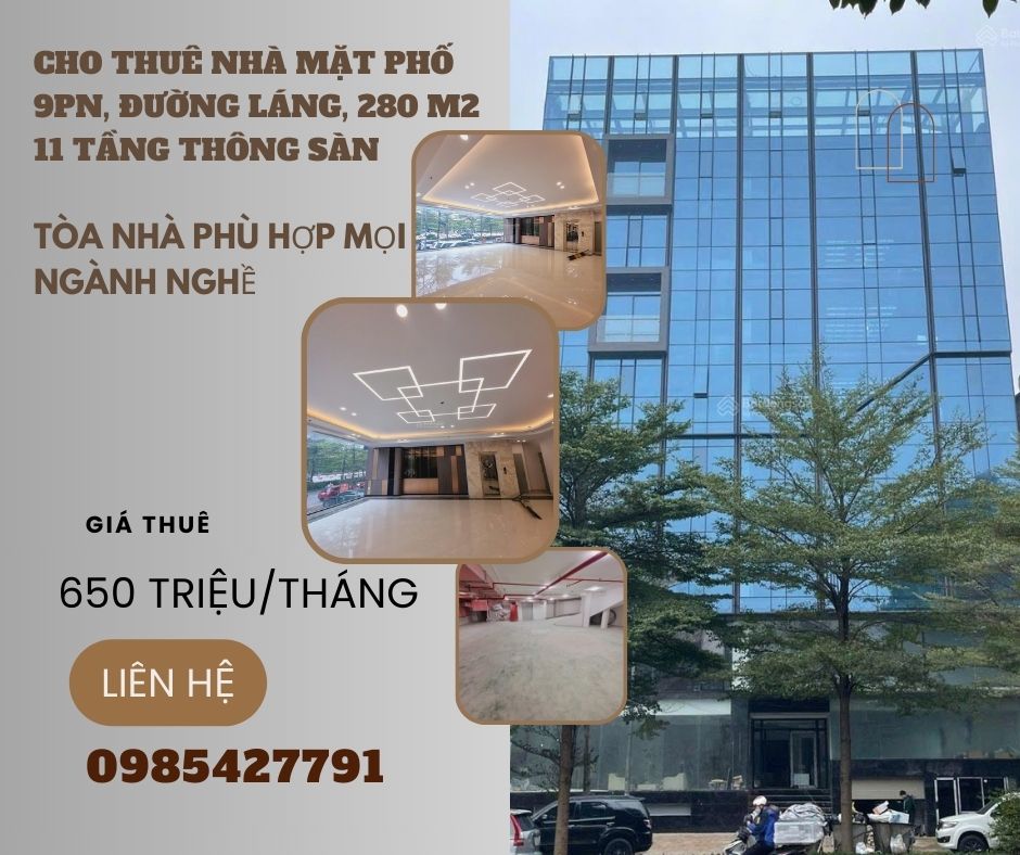 https://batdongsanviet.info.vn/cho-thue-nha-mat-pho-9pn-duong-lang-280-m2-11-tang-thong-san-toa-nha-phu-hop-moi-nganh-nghe-j192818.html