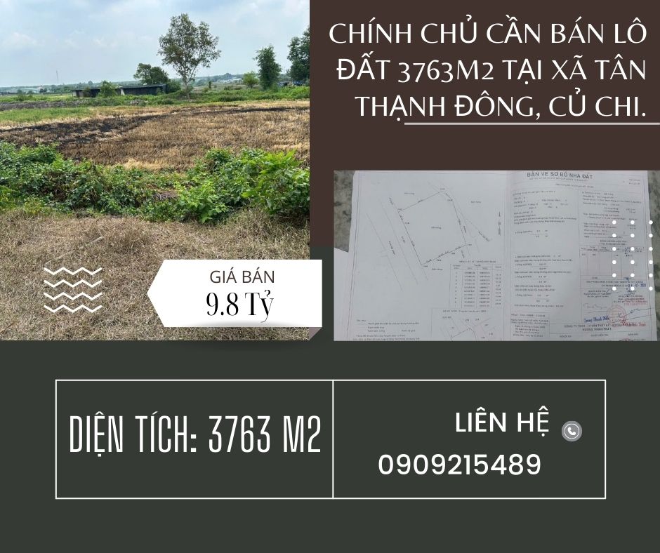 https://batdongsanviet.info.vn/chinh-chu-can-ban-lo-dat-3763m2-tai-xa-tan-thanh-dong-cu-chi-j192814.html