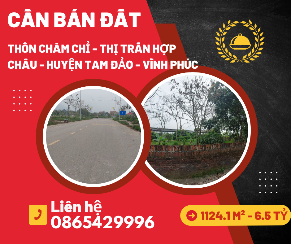 https://batdongsanviet.info.vn/can-ban-dat-thon-cham-chi-thi-tran-hop-chau-huyen-tam-dao-vinh-phuc.html
