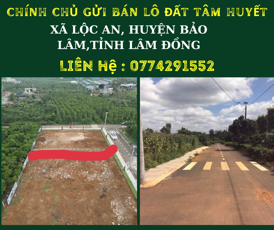 https://batdongsanviet.info.vn/chinh-chu-gui-ban-lo-dat-tam-huyet-j156467.html